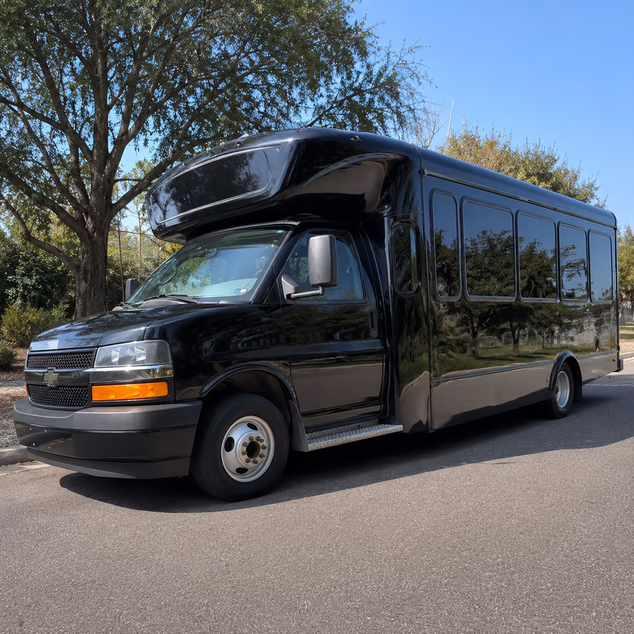 Buffalo Concert & Music Festival Transportation party bus exterior