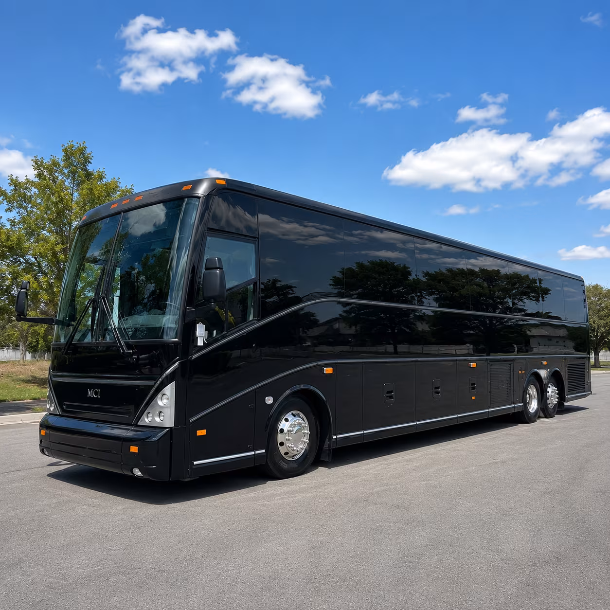 Buffalo School Event Transportation party bus interior