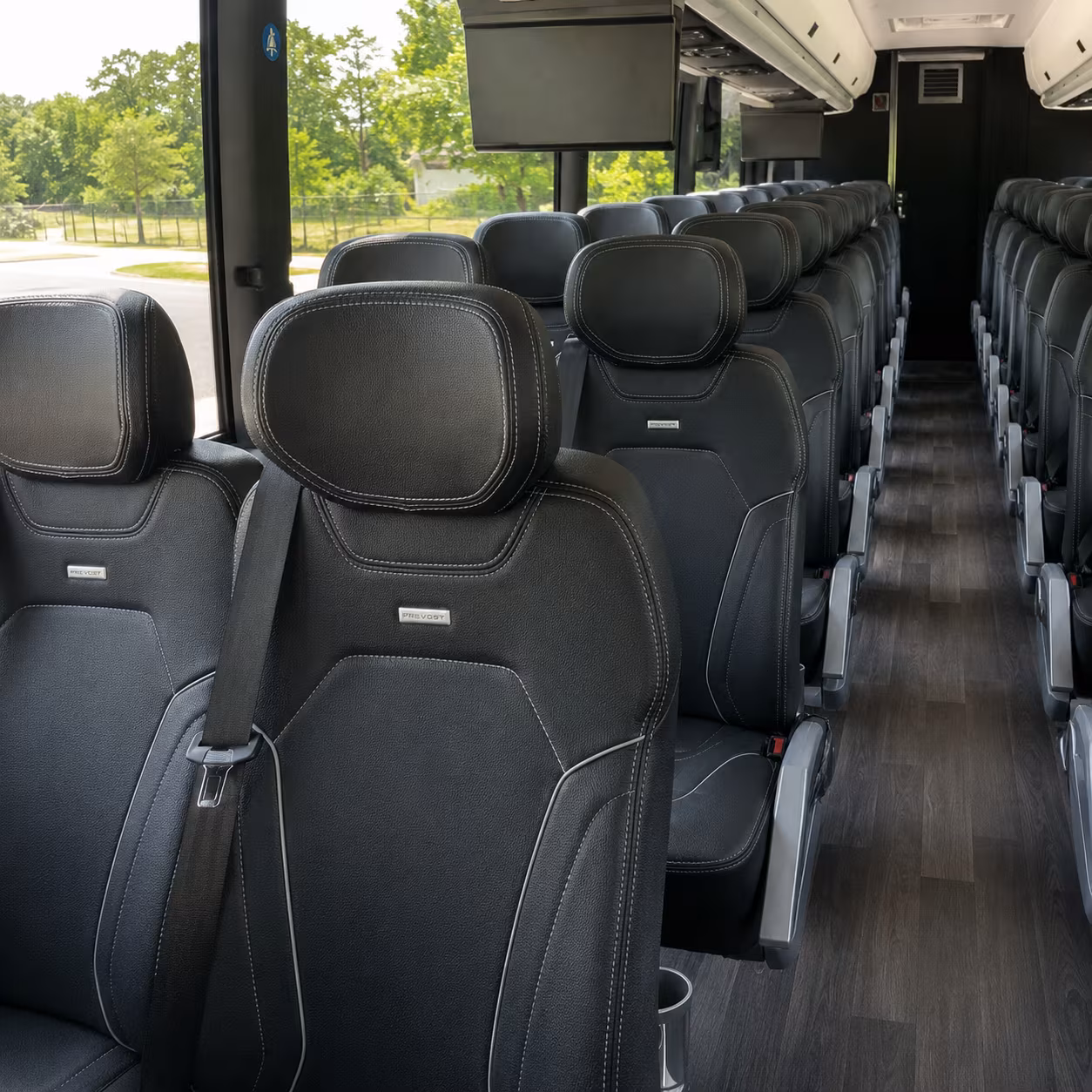Buffalo School Event Transportation party bus exterior
