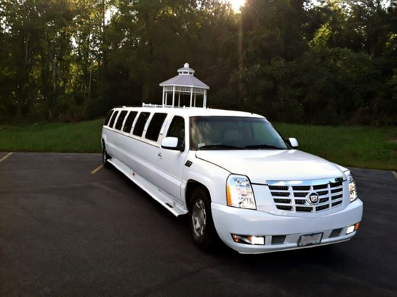 Buffalo 15 Passenger Limo